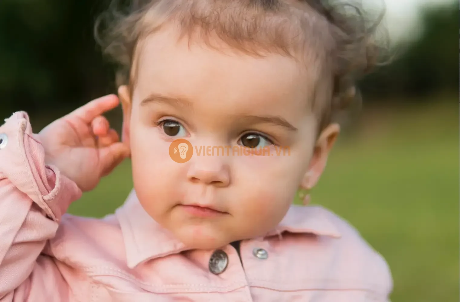 Kéo hoặc cào cấu hai tai dấu hiệu viêm tai giữa