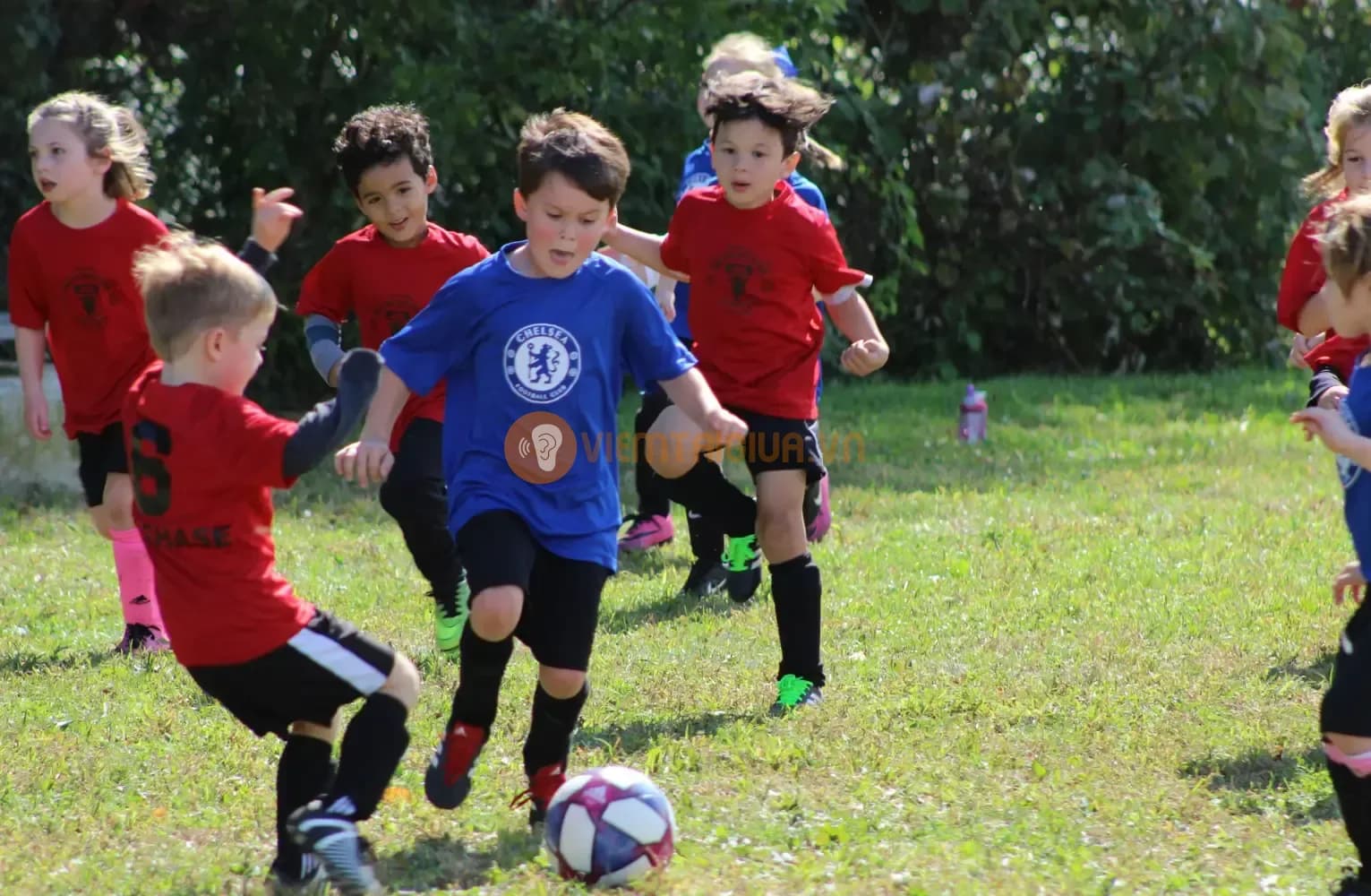 Ngoài bơi lội cha mẹ có thể cân nhắc cho trẻ tham gia các hoạt động khác cũng vui khoẻ và bổ ích đối với trẻ