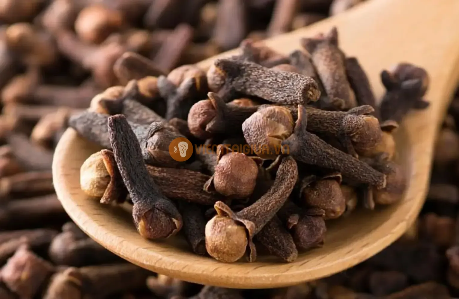 Đinh Hương có tác dụng giảm đau, chống oxy hoá