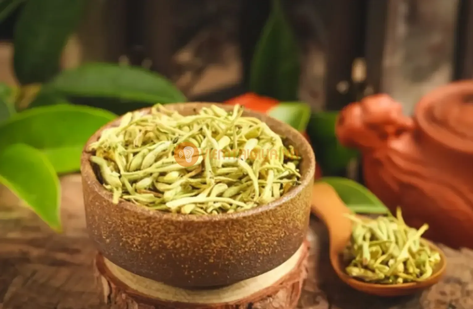 Kim Ngân Hoa có công dụng kháng khuẩn