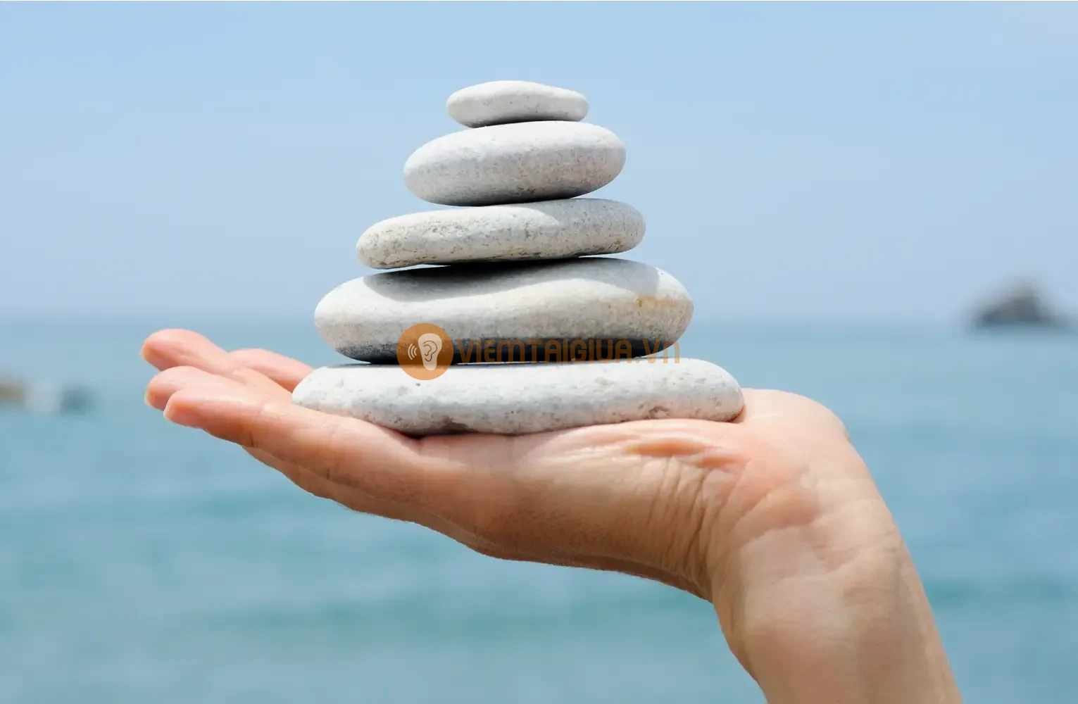 Đông y có cách tiếp cận toàn diện, giúp cân bằng lại toàn bộ cơ thể