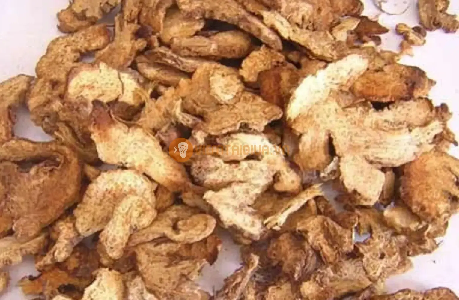 Bạch truật, vị thuốc quý trong đông y