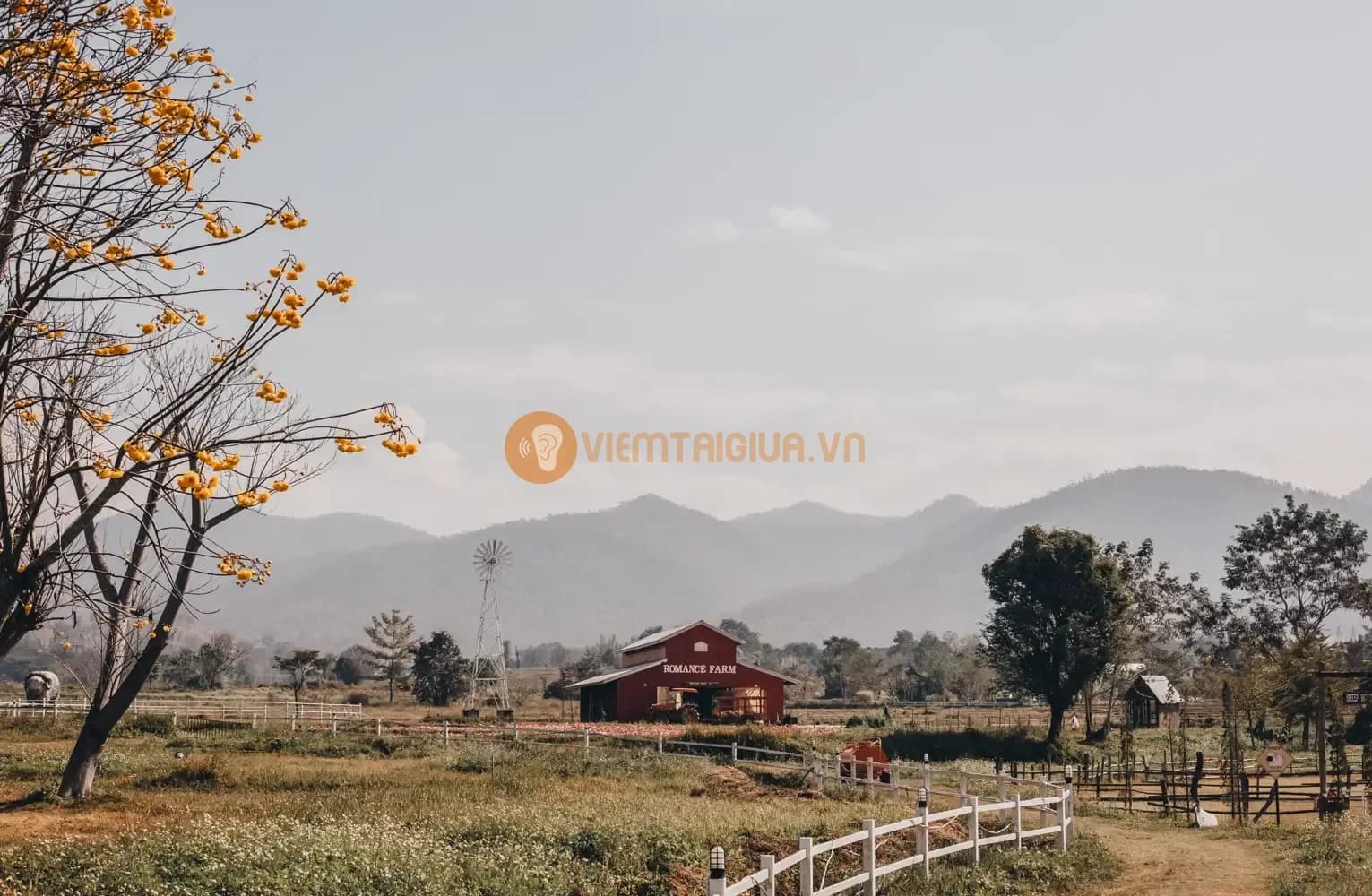 Một số khu vực có thể khó tiếp cận dịch vụ tiêm phòng có thể gặp khó khăn do thiếu cơ sở y tế hoặc khoảng cách xa