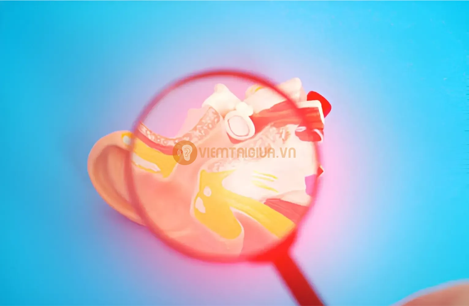 Vi khuẩn trong khu vực tai dẫn tới viêm tai giữa