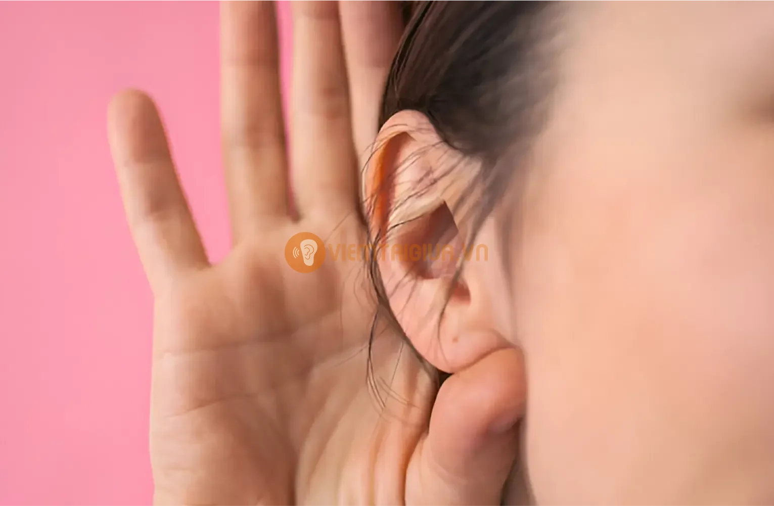 Mỗi trường ẩm ướt tạo điều kiện thuận lợi cho nấm tai phát