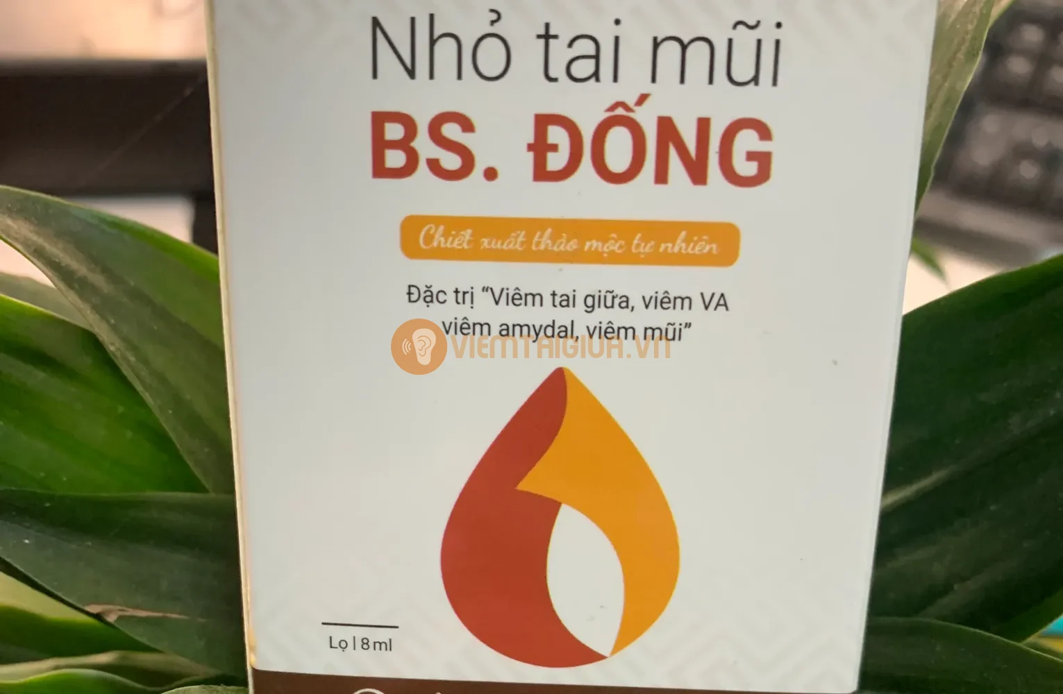 Bài thuốc đã giúp hàng trăm nghìn bệnh nhân, từ trẻ sơ sinh đến người cao tuổi, tránh tái phát bệnh viêm tai giữa một cách hiệu quả