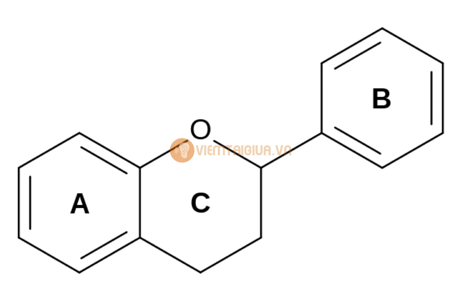 Flavonoid là hợp chất chống oxy hóa mạnh