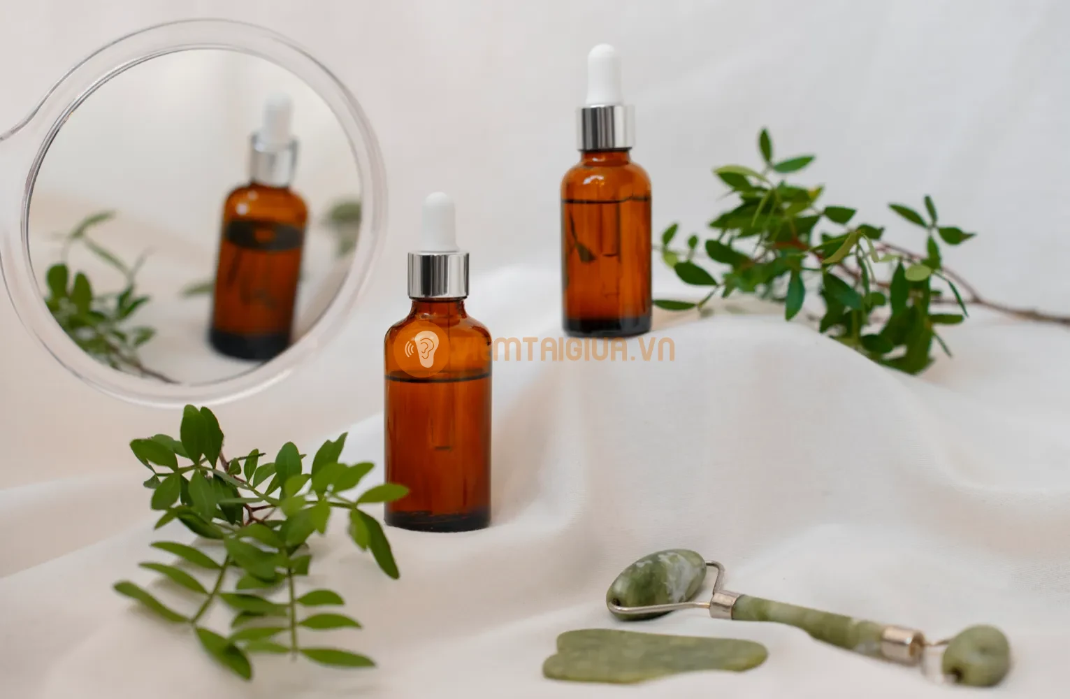 Cây sậy chứa các loại tinh dầu có tác dụng kháng khuẩn, kháng viêm